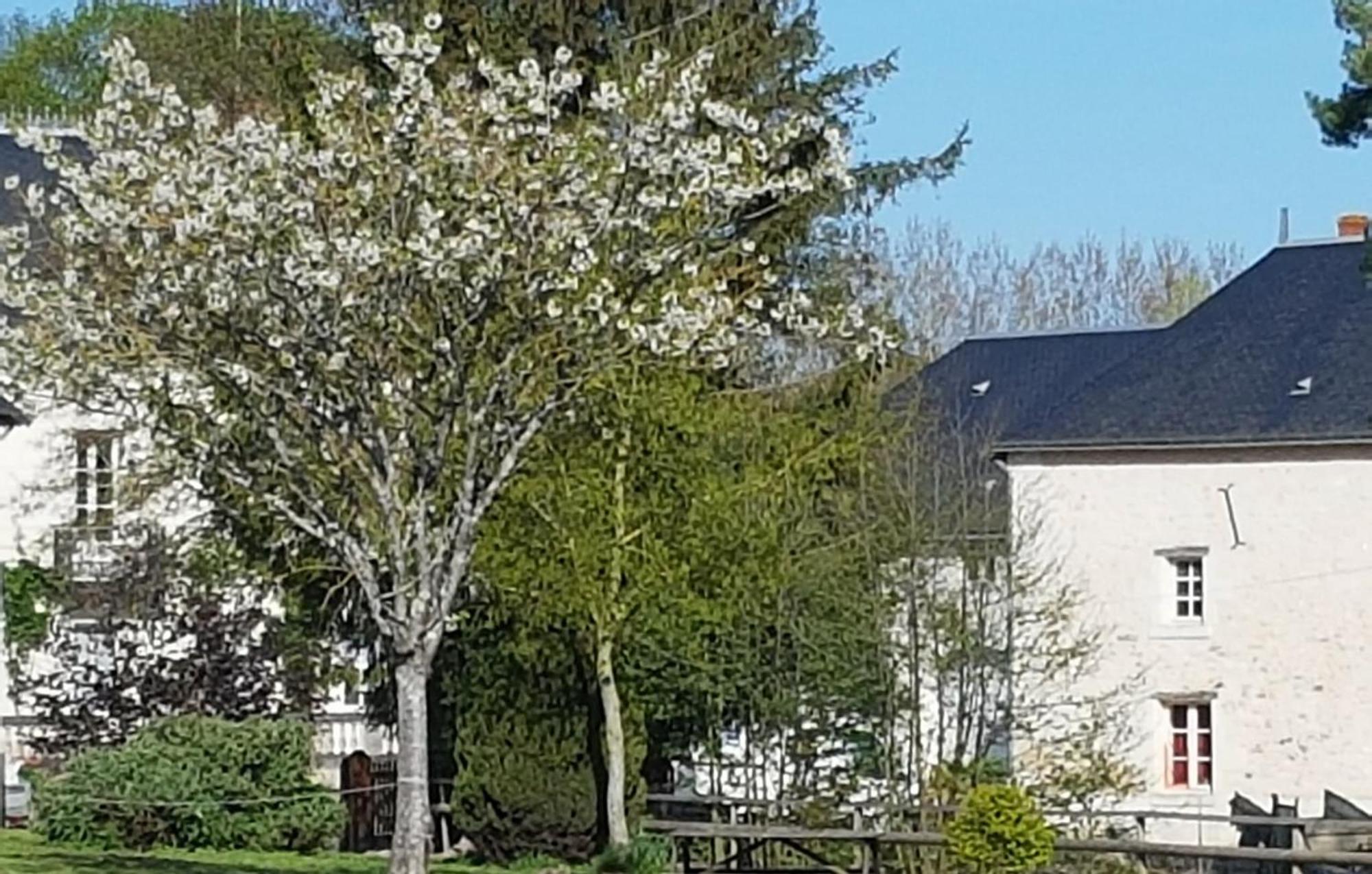 Domaine Du Moulin Neuf Aux Portes De Beauval Nouans-les-Fontaines Exteriör bild