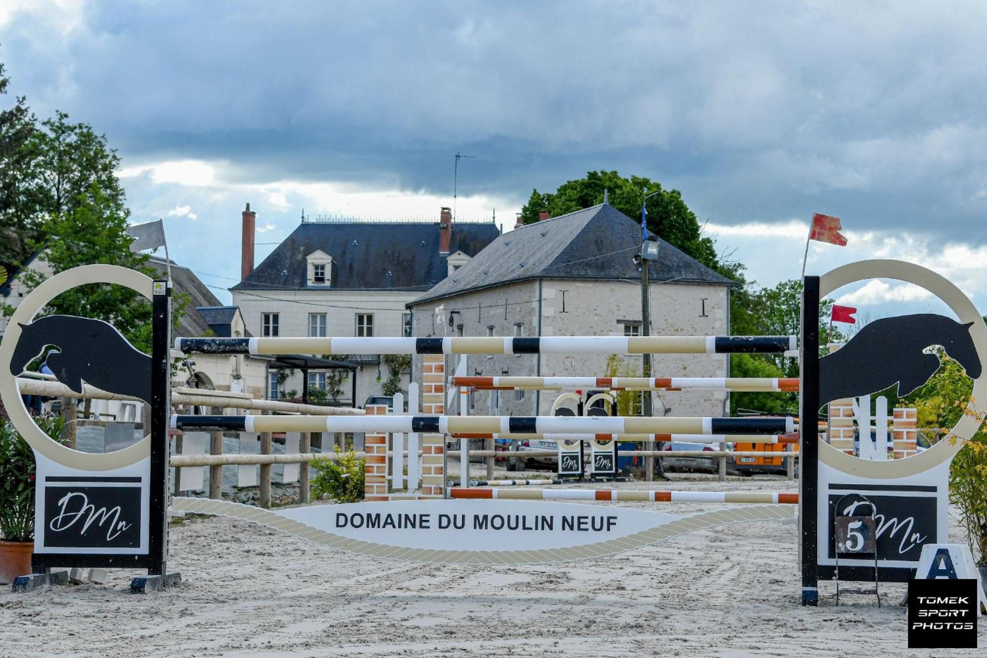 Domaine Du Moulin Neuf Aux Portes De Beauval Nouans-les-Fontaines Exteriör bild